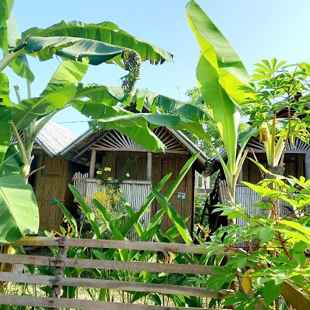 Banana Grove El Nido Ξενοδοχείο Εξωτερικό φωτογραφία