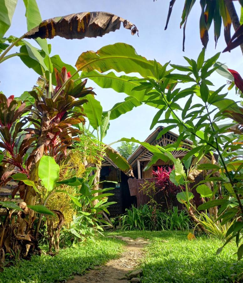 Banana Grove El Nido Ξενοδοχείο Εξωτερικό φωτογραφία