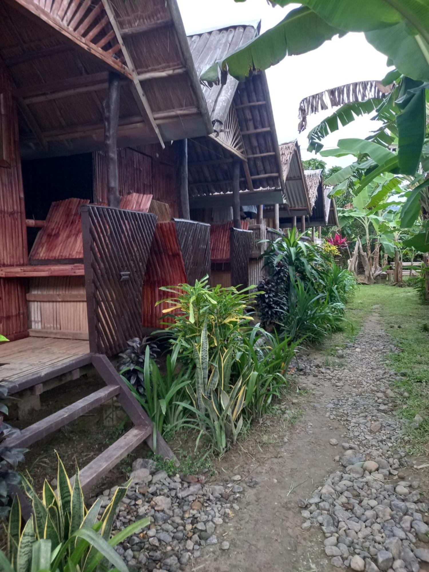 Banana Grove El Nido Ξενοδοχείο Δωμάτιο φωτογραφία